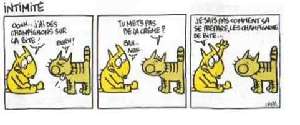 Cliquez pour agrandir