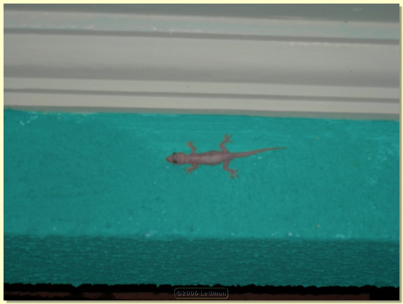 DSCN0119.JPG
