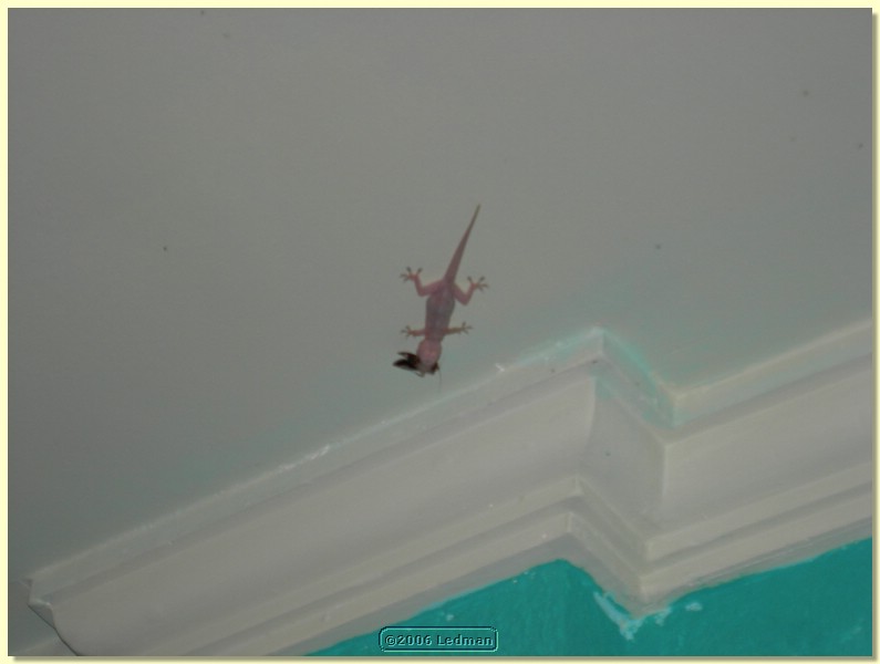 DSCN0121.JPG