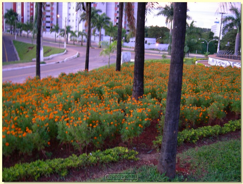 DSCN0157.JPG