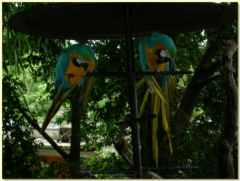 DSCN0195.JPG