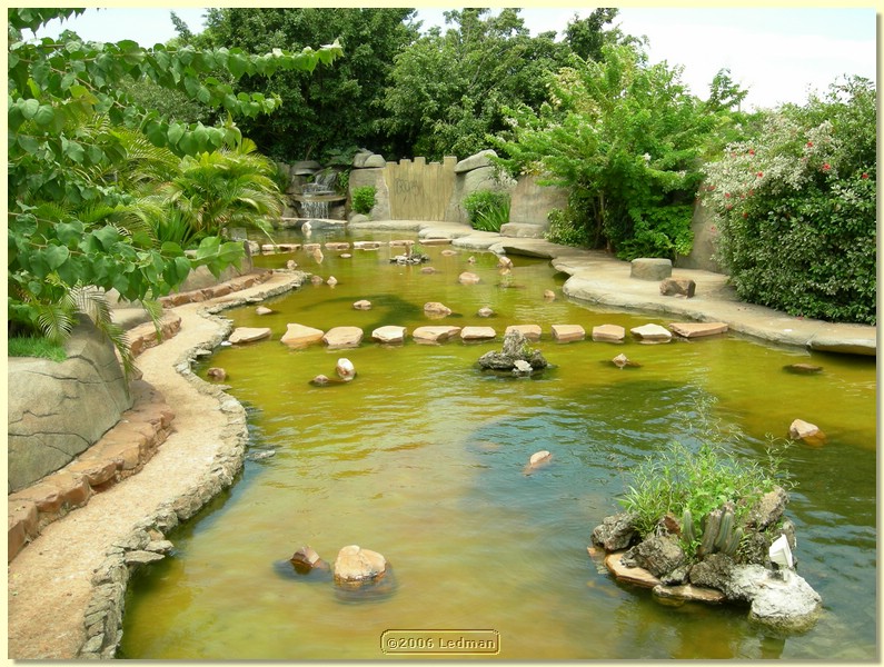 DSCN0200.JPG