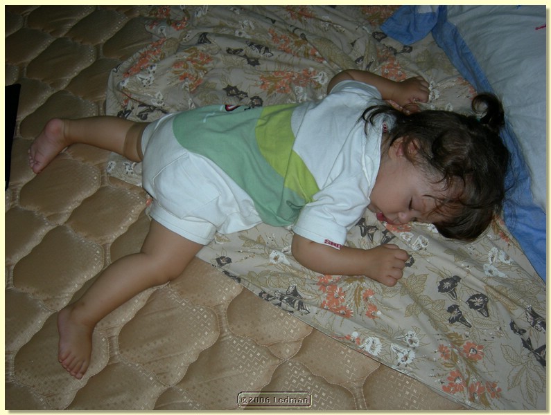 DSCN0213.JPG