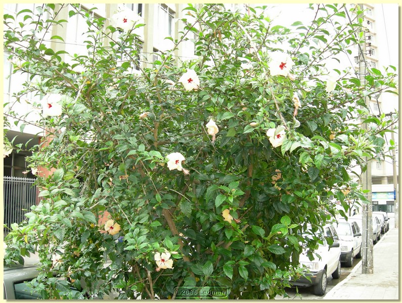 DSCN0217.JPG