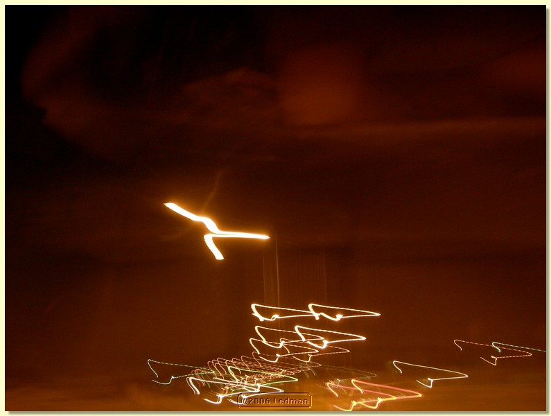DSCN0370.JPG