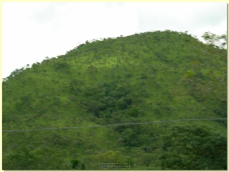 DSCN0424.JPG
