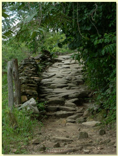 DSCN0426.JPG