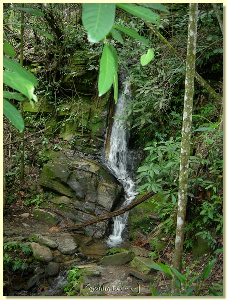 DSCN0434.JPG