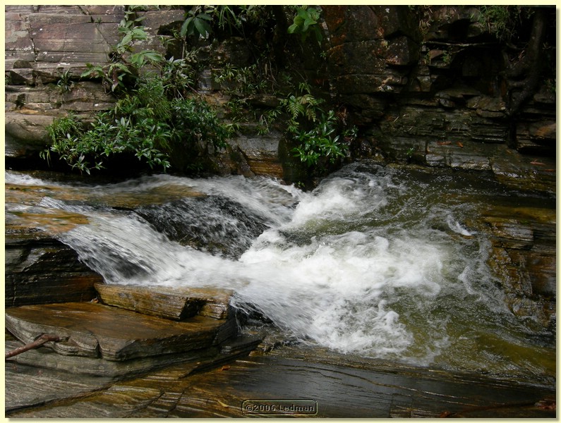 DSCN0442.JPG