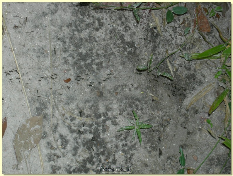 DSCN0455.JPG