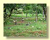 DSCN0015.JPG