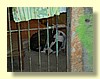 DSCN0100.JPG