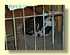 DSCN0101.JPG