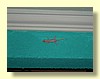 DSCN0119.JPG