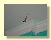 DSCN0121.JPG