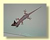 DSCN0123.JPG
