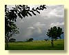DSCN0133.JPG