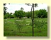 DSCN0146.JPG