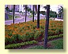 DSCN0157.JPG