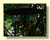 DSCN0194.JPG