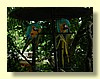 DSCN0195.JPG