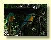 DSCN0196.JPG