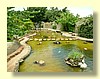 DSCN0200.JPG