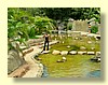 DSCN0201.JPG