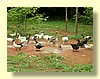 DSCN0218.JPG