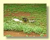 DSCN0219.JPG