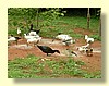DSCN0220.JPG