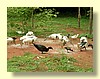 DSCN0221.JPG