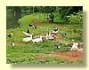 DSCN0222.JPG
