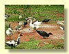 DSCN0224.JPG