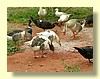 DSCN0225.JPG