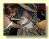 DSCN0237.JPG