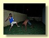 DSCN0255.JPG
