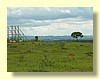 DSCN0401.JPG