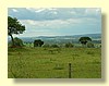 DSCN0402.JPG