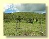 DSCN0419.JPG