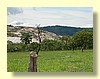 DSCN0421.JPG