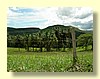 DSCN0423.JPG