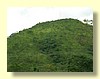 DSCN0424.JPG
