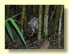 DSCN0425.JPG