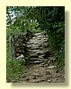 DSCN0426.JPG