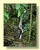 DSCN0434.JPG