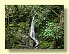 DSCN0435.JPG