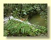 DSCN0439.JPG