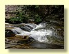 DSCN0442.JPG