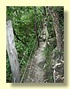 DSCN0446.JPG